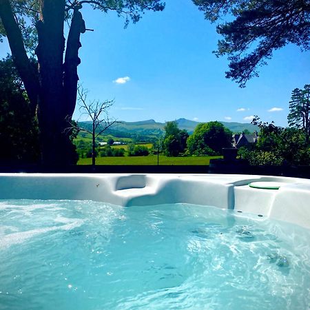 Mountain View Cottage, Hot Tub , Stunning Views Llanhamlach Exteriér fotografie